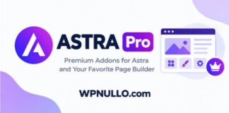 Download Astra Pro v4.13.11 Nulled + Theme v4.14.1